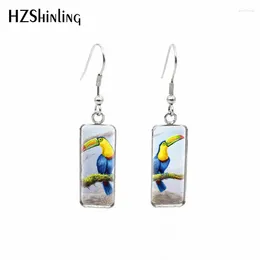 Dangle Earrings 2024 Toucan Earring Bird Art Painting Rectangular Hook Glass Cabochon Jewellery Handmade Gifts Girl