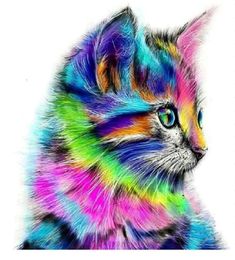 DIY Diamond Painting for Adults and Kids Gifts FullScreen PaintByNumber Art Kits as Home Store or Office Wall Decoration Cat2550278