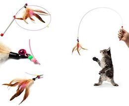 Feather Rod Play Pet Wand Teasing with Colored BeadsFunny Feather Spring Kitten Cat Toy Interactive Interactive Cat Toy Dropship7780124