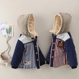 Down Coat BOY'S Quilted Cotton 2024 Winter Style Korean-style Children Striped Letters Thick Cotton-padded Jacket Direct