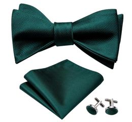 Bow Ties Self For Men Silk Butterfly Tie Green Designer Hanky Cufflinks Suit Collar Removable BarryWangLH10127725804