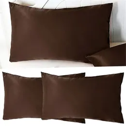 Pillow 2pc Pillowcase Silk Satin Imitation Solid El Bedding 2 Standard Size