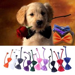 Dog Apparel 1Pcs Candy Colour Cat Bow Tie Puppy Kitten Necktie Pet Dogs Fashion Clothes Decoration Kids Decor