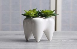 Teeth shape ceramic pot succulent planter mini white cute garden flower decoration indoor office desk decor2143803