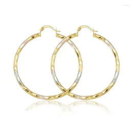 Hoop Earrings Vintage 18K Gold Plated Round Light Luxury Womens Fashion Jewellery Accessories Wedding Birthday Holiday Gift