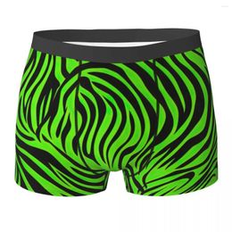 Underpants Line Green Zebra Underwear Stripe Print Pouch Boxer Shorts Pattern Briefs Soft Men Panties Plus Size 2XL