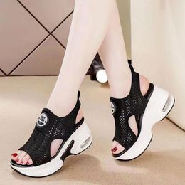 Sandals Spring And Summer Korean Thick Soled Female High Heeled With Fish Mouth Slope Wedges For Women Dressy