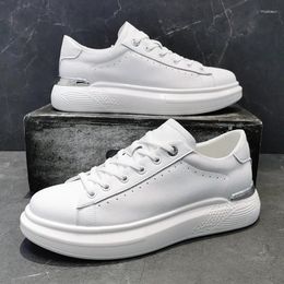 Casual Shoes Design Men's Soft Leather Breathable Lace Up Platform Shoe Street Style White Sneakers Young Footwear Chaussure