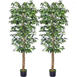 Decorative Flowers Artificial Plants 2 Pcs 4 FT Ficus Trees With Realistic Leaves And Natural Trunk Sturdy Plastic Nursery Pot