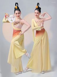 Stage Wear Han Yi Shuying Same Style Performance Costume Classical Dance Adult Art Examination Drama