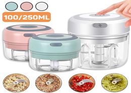 USB Charging 100250mL Mini Electric Garlic Chopper Meat grinder Ginger Masher Machine Sturdy Durable Chili Vegetable Crusher Kitc1354459