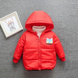 Down Coat BOY'S Quilted Cotton 2024 Winter Style Korean-style Children Thick Hooded Frog Cotton-padded Jacket