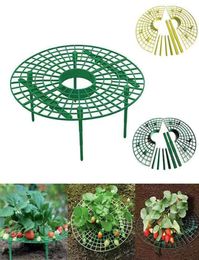 Plant support Planters Strawberry Planting Rack Fruit Supports Plants Climbing Vine Props Flower Pillar Gardening Bracket agricult1553775