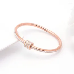 Bangle Women's Luxury Exquisite Zircon Waist Stainless Steel Rose Gold Colour Charm Bracelets Girls' Premium Party Jewellery