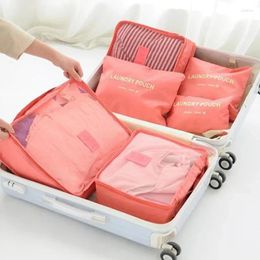 Cosmetic Bags 6 Pcs/Set Pink/Blue/Grey Travel Storage Bag Large Capacity Waterproof Luggage Clothing Underwear With Zipper