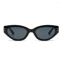 Sunglasses Cat Eye UV400 Women Fashion Unique Small Oval Sun Glasses Trendy Cool Triangle Minimalist Design Eyewear