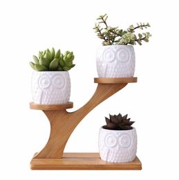 2 Styles Ceramic Succulent Pots Garden Planter for Plants Bonsai Pot Bamboo Plants Stand Sets Y09102221247