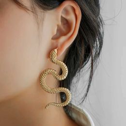 Earrings Fashionable Exquisite Metal Retro Snake Winding Style Gothic Cold Wind Trend Hip Hop Ladies Earrings Birthday Gift 230831