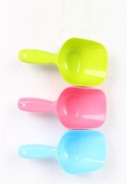 Pet Dog Spoon Puppy Cat Bird Ferret Rabbit Food Feeder Scoop Shovel Spade Dishes Tool yq011247043211