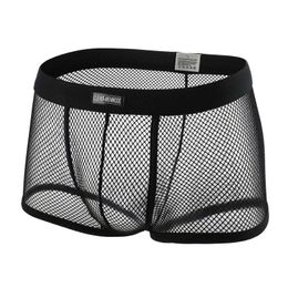 Underpants CLEVERS-MENMODE sexy mesh boxer mens underwear transparent low waisted Pyjamas shorts Q240430