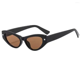 Sunglasses Women's Cat's Eye High End Trendy Men's Retro Light Luxury Sun Protection Glasses UV400