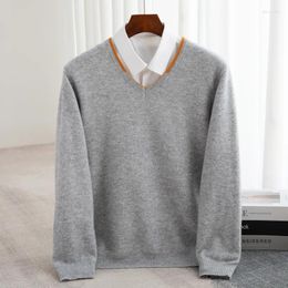 Men's Sweaters Wool Knitted Casual Business V-neck Sweater Solid Color Full Sleeved Selling Pullover