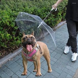 Dog Apparel Pet Umbrella Rainproof Snowproof For Small Dogs Adjustable Doggy