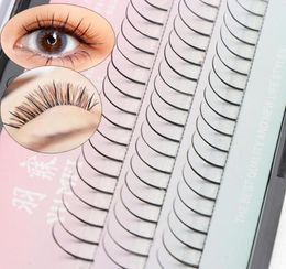 False Eyelashes 60 PcsBox Single Cluster C Curl 010mm Thickness Individual Lashes Vivid Interperse Natural Long4719125