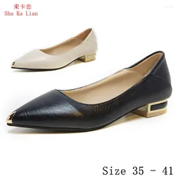 Casual Shoes Low Heels Women Pumps 2 CM Heel Stiletto Woman Party Wedding Kitten Small Plus Size 35 - 41