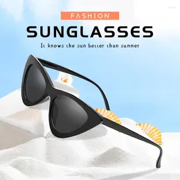 Sunglasses 2024 Neutral Trendy Cat Eye Sunshade Fashion Personalised Small Frame Triangular UV400