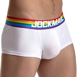 Underpants Rainbow belt mens underwear Boxershorts cotton breathable Q240430