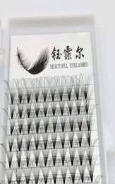 Natural 20P 007CD 815mm Individual Eyelash Extensions Of Russian Volume And Premade Fans Eyelashes For Salon7384091