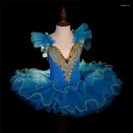 Stage Wear Children's Ballet Dance Skirt Girl's Little Swan Performance Soft Yarn Princess Dress Puffy Costume