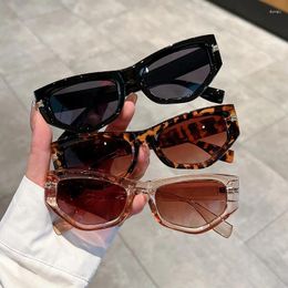 Sunglasses Cute Cateye Fashion For Women And Men Stylish Glamour Brand Female Sun Glasses Trend Cat Eye Shades UV400