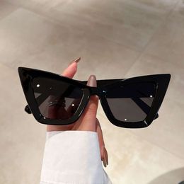Porta -almente Trendy Large Frame Sun Glasses Designer Cat Eye com Lens Anti -UV Lente Beach Sunglasses