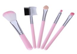 Pink Makeup Brushes For Beginner Tools Kit Eye Shadow Eyebrow Eyeliner Eyelash Lip Brush7854364
