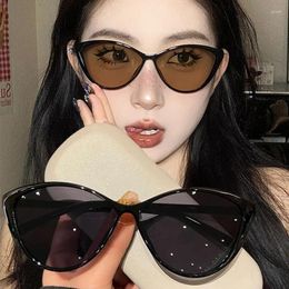 Sunglasses 2024 Trendy Cat Eye Woman Brand Designer Mirror Black Triangle Sun Glasses Women Lens Shades For Lady Eyewear UV400