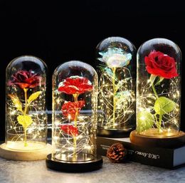 Rose Rose In LED Glass Dome Forever Red Valentine039s Day Mother039s Day Special Romantic Gift309w4865518