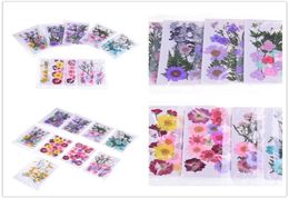 Multiple Beautiful Real Pressed Flower Dried Flowers for Art Craft Scrapbooking Resin Jewelry Craft Making Phone Case4585034