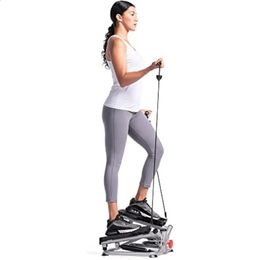 Sunny Health Fitness Total Body Advanced Stepper Machine SFS0979 Gray 240416