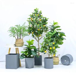 Decorative Flowers Nordic Modern Minimalist Simulation Of Green Plants Ground To Potted