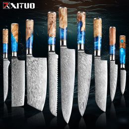 Classic Damascus Kitchen Knife Set 1-9Piece 67-Layer Japanese VG10 Steel Chef's Cleaver Knife Bread Santoku Boning Knife More