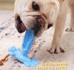 Dog Toothbrush Toy Brushing Stick Pet Molar Toothbrush for Dog Puppy Tooth Healthcare Dog Accessoires1667541