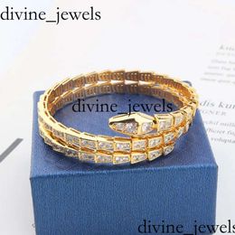 Bulgarie Jewellery Designer Jewellery Woman 18K Gold Plated Snake Bangle Bracelets For Women Men Charm Infinity Diamond Tennis Cuff Bracelets Luxury G 5489