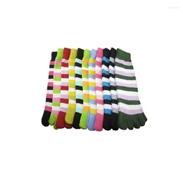 Women Socks 5 Pairs Bright Candy Colours Design Women's Stripe Solid Pattern Quality Autumn Winter Warm Toes Sock Good