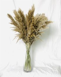 Dried Pampas Grass Bouquet Wedding Decor Dried flowers Christmas Decor264K6551094