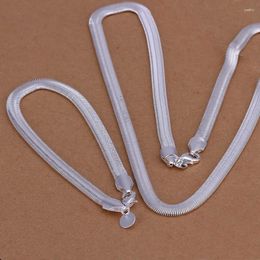 Necklace Earrings Set Wholesale Silver Colour Bracelets Jewellery 6MM Flat Soft Snake Chain Fashion Women Mens Wedding