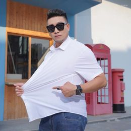 Men's Casual Shirts Summer Plus Size Clothing Seamless No-iron High-elastic Ice Silk Short-sleeved Shirt Thin Solid Colour