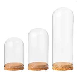 Bottles Cloche Jar With Wood Base Glass Dome Display For Home Desktop Decorative