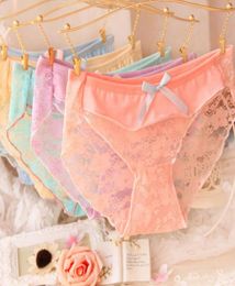 Bow tie cute girl Women039s Panties underwear transparent womens lace sexy ladies underwears NP0255061043